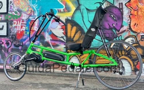 Rans Phoenix scheda tecnica e recensioni